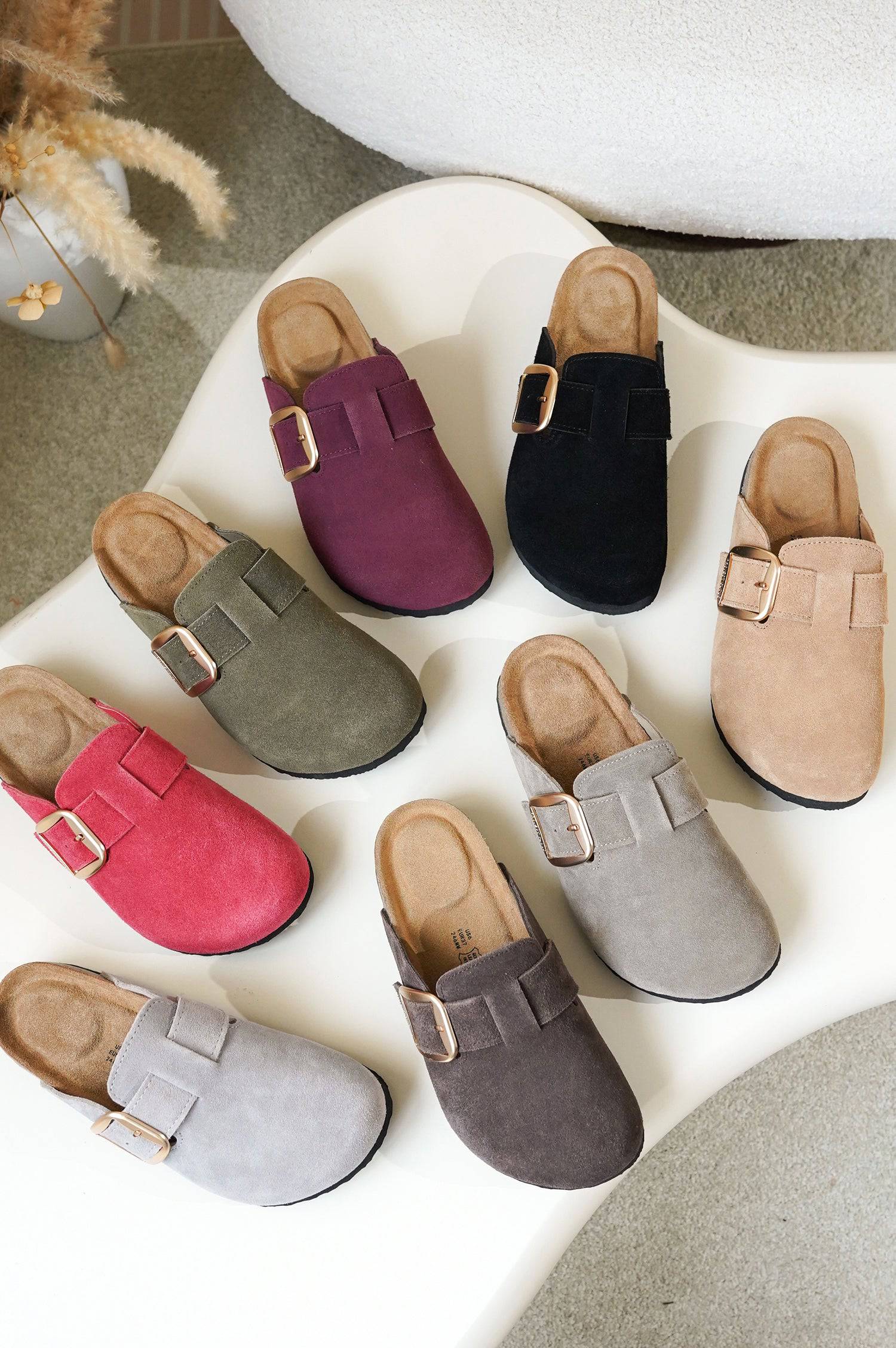 Manchester clogs in suede, multiple colors. Gold buckle, ProjectPlush comfort.